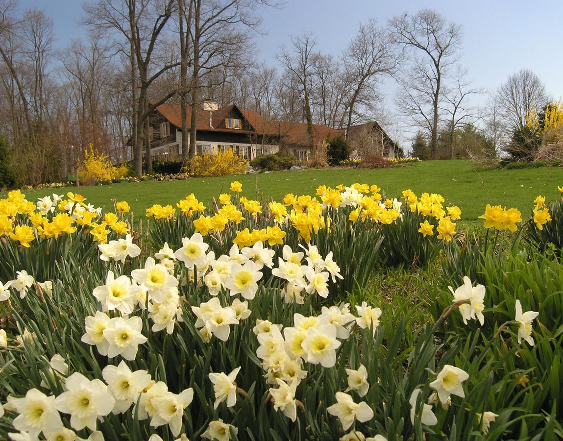 Swiss Woods Bed And Breakfast ลิทิทซ์ ภายนอก รูปภาพ