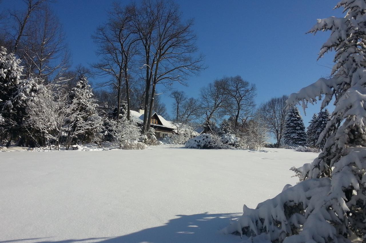 Swiss Woods Bed And Breakfast ลิทิทซ์ ภายนอก รูปภาพ