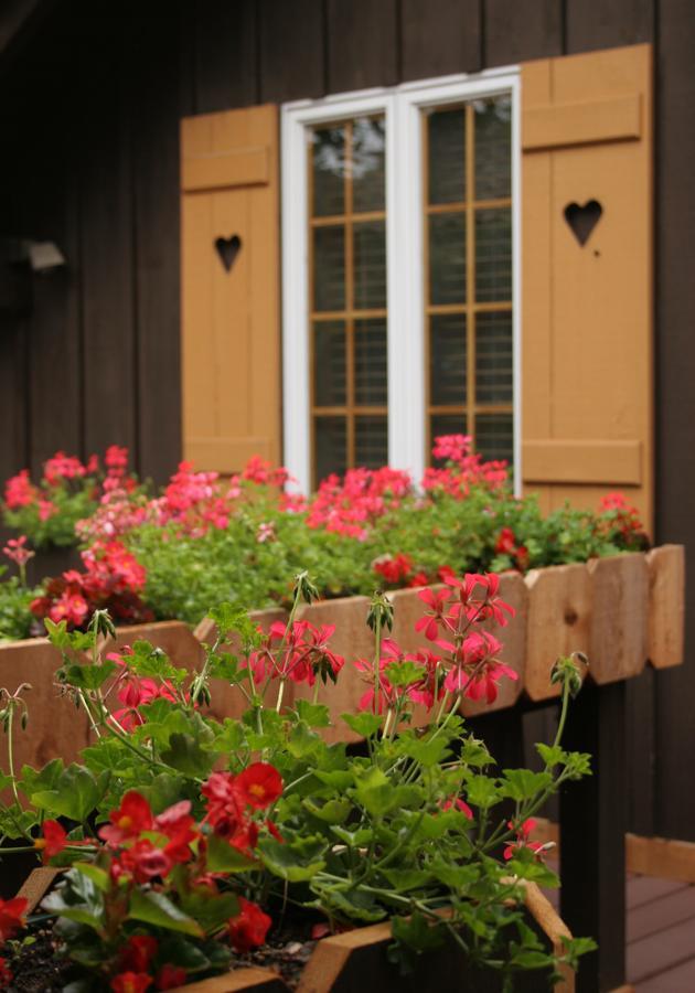 Swiss Woods Bed And Breakfast ลิทิทซ์ ภายนอก รูปภาพ